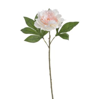 Artificial flower - Peonies, 263CAN240203_215