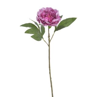 Artificial flower - Peonies, 263CAN240203_216