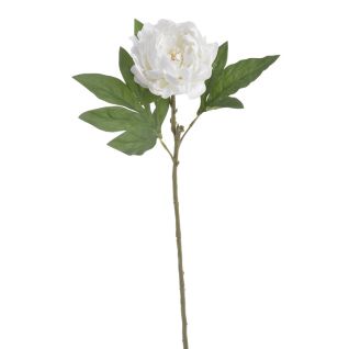 Artificial flower - Peonies, 263CAN240203_220