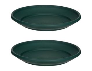 Saucer, W110660014