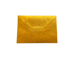 Envelopes, yellow, 10 pcs, G22cm, P11cm, ZG38-DL_02