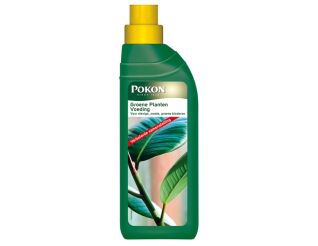 Pokon Fertilizer for green Plants, 3420501