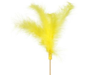 Feathers 10cm on a stick 50cm, 93135121