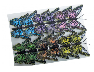 Butterflies on a clip, 287908