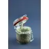 Cactus In decorative jar