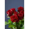 Roses Red Naomi Delux 70cm