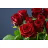 Roses Red Naomi Delux 70cm