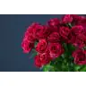 Roses Spray Alicia