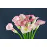 Calla Capt Alma