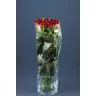 Roses Ever Red 50cm