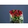 Roses Ever Red 50cm