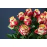 Roses Chapeau