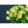 Roses Spray Bandeloro