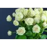 Roses Spray Royal Porcelina