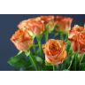 Roses Cafe Mocca
