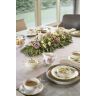Pini-Extra Oasis , 31-04061