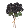 Decorative berries , 81CAN1-3379_06