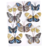 Butterflies on a clip , 173CAN01553