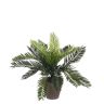 Искусственный цветок Cycas palm , 1044530