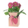 Gift box, H20640