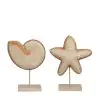 Decor - shell , wooden, 1150333