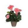 Mākslīgs zieds Geranium, 950217