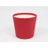 Decorative packaging for houseplant, GS2667