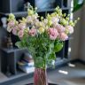 Лизиантус Alisa Hanoi pink (9ШТ)