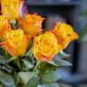 Roses Marie Claire (9PCS|40CM)