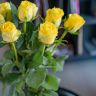 Roses Good times (9PCS|60CM)
