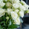 Spray roses Snowflake (9PCS|40CM)