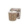 Mug, Papilio