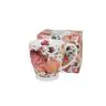 Mug, Springroses