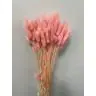 Декоративный лагурус, 100gr, lag100rosa