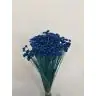 Сухоцветы - Amarellino, 100gr, AMA100BLU