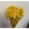 Сухоцветы - Amarellino, 100gr, AMAR100GIALLO
