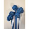 Dried Ata fruit, ATAFOS5BS