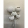 Dried flowers - Bell cup, BCOS5BS