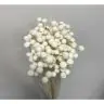 Сухоцветы - Botao, 100gr, BO100BIANCO