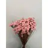 Сухоцветы - Botao, 100gr, BOT100ROSA