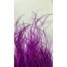 Dried flowers - Stipa Pennata, 50gr, STI50ERIKA