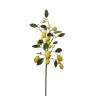 Decorative branch - Lemon, 1MHZ2721