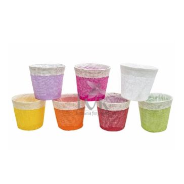 Decorative packaging for a houseplant, WH13-283 MIX
