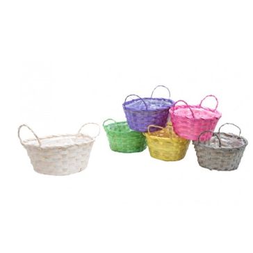 Bambusa grozs, 17KD524MIX