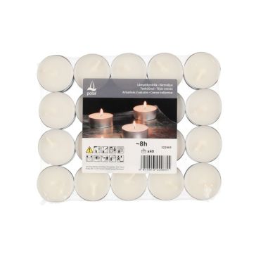 Tējassveces deg 8h 40gab, 322965