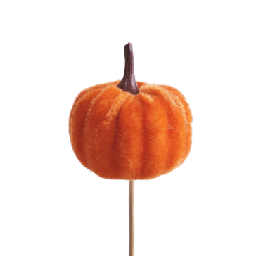 Pumpkin on a 10cm stick, K40773