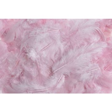 Dekoratīvas spalvas 10 g, gaiši rozā, HM0003_692C