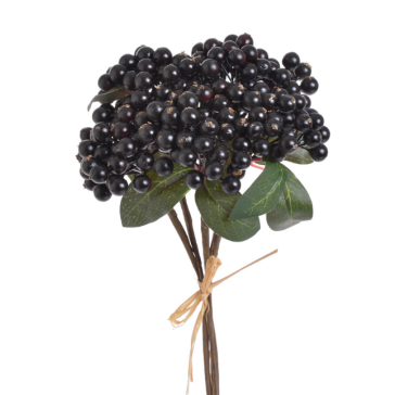 Decorative berries , 81CAN1-3379_06