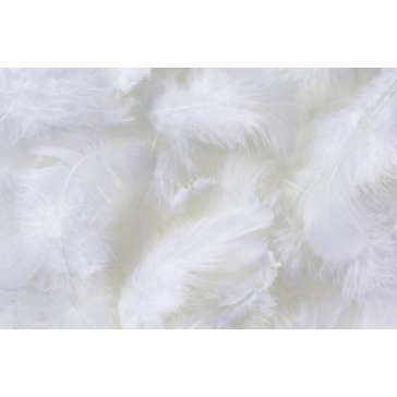 Dekoratīvas spalvas , HM0003_WH