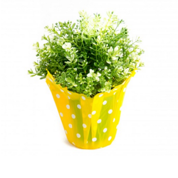 Decorative bag for plants , PlasticY